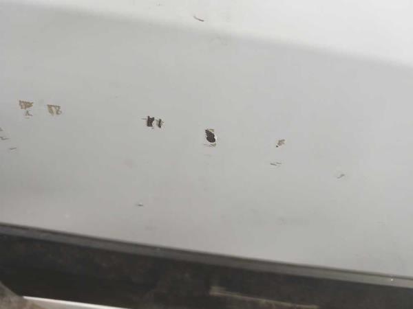 PORTE LATERAL DROIT SPRINTER/ VW CRAFTER 2006-2018 - Vue 2